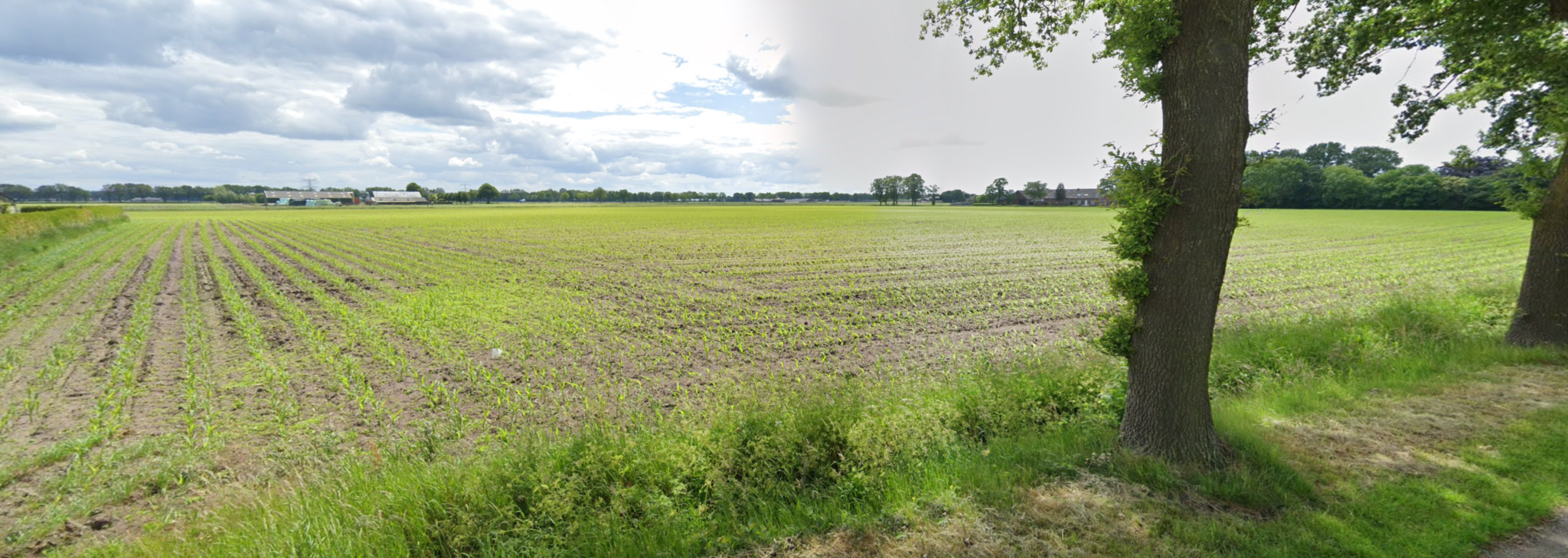 Te koop: Goed gelegen percelen landbouwgrond in het landelijke buitengebied van Oploo!